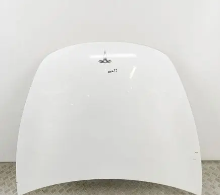 Tesla Model 3 Engine bonnet/hood 1081390E0C