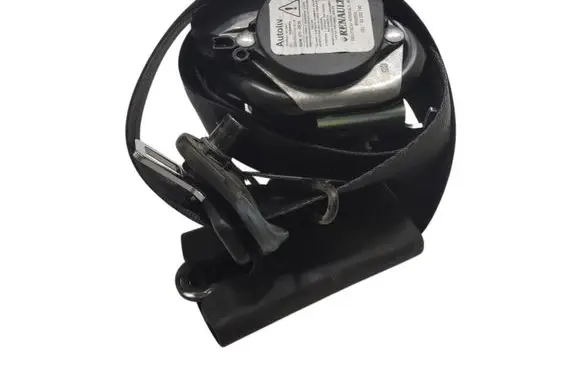 Renault Zoe Front door speaker 868852607R