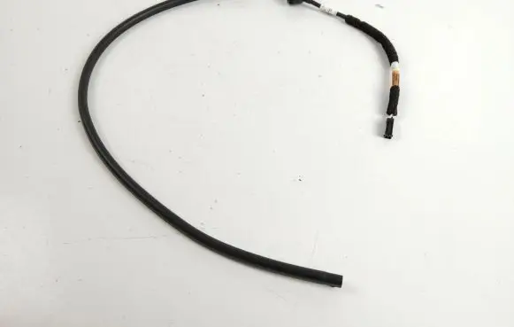 Ford Mustang Mach-E Tailgate sensor LJ8BR406A77
