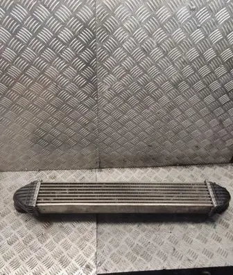 Mercedes-Benz B W245 Intercooler radiator a1695000000