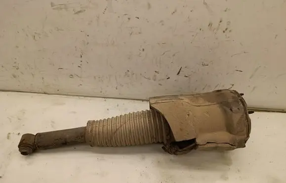 Rear shock absorber/damper