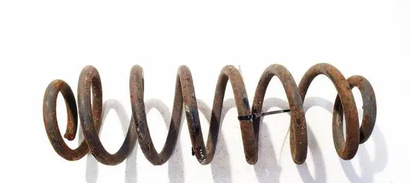 Volkswagen PASSAT B6 Rear coil spring 
