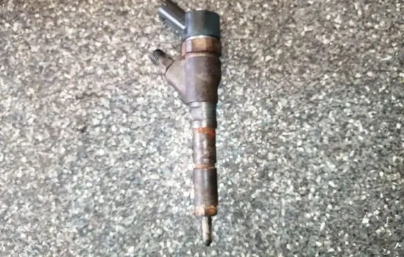 Peugeot 406 Fuel injector 0445110076 9641742880