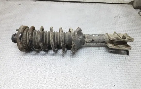 Land Rover Freelander Rear shock absorber with coil spring 