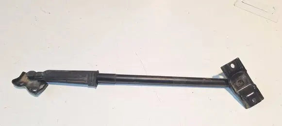Tailgate/trunk strut/damper