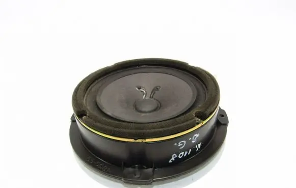 Rear door speaker