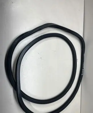 Chrysler Pacifica Front door rubber seal