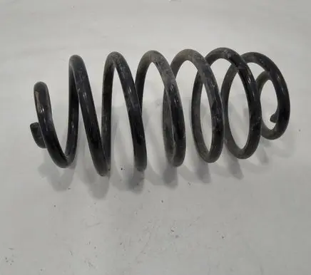 Rear coil spring