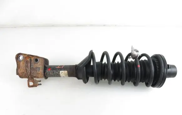 Land Rover Freelander Rear shock absorber with coil spring 