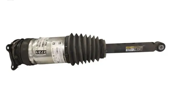 Tesla Model S Shock absorber/damper/air suspension 106746625C W309255101 DN01150650