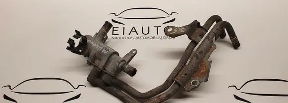 Thermostat/thermostat housing