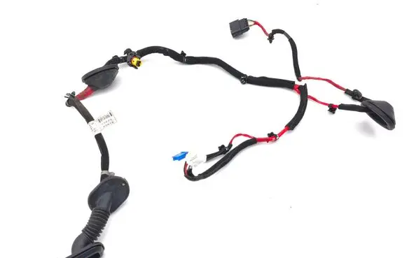 Hyundai Ioniq Rear door wiring loom 91650G2391