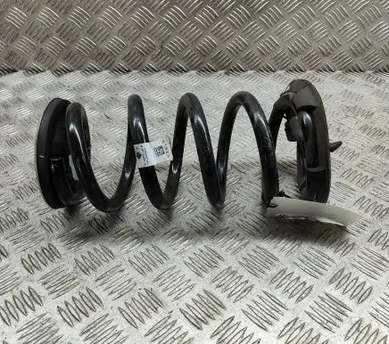 Tesla Model Y Rear coil spring 118847600B