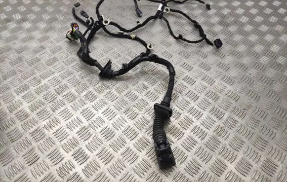 Front door wiring loom