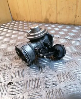 EGR valve