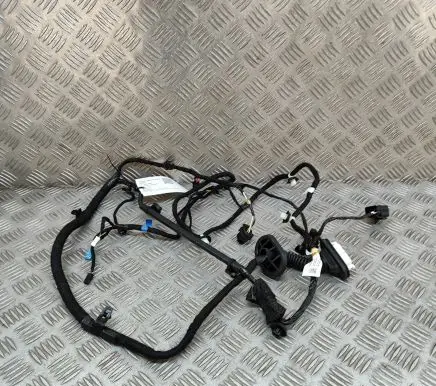 Tesla Model Y Other wiring loom 148905400E
