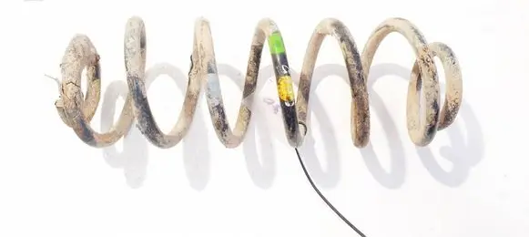 Rear coil spring