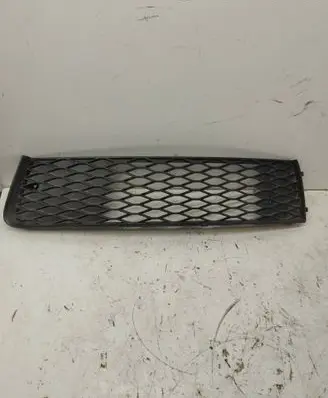 Front bumper lower grill