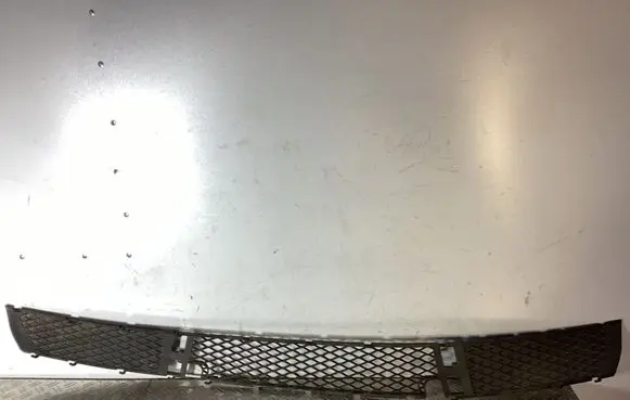 BMW X3 E83 Front bumper lower grill 51113400908