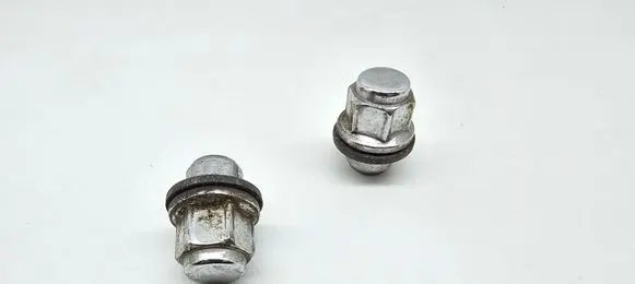 Nuts/bolts
