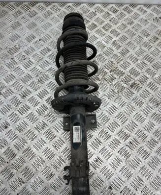Skoda Rapid (NH) Front shock absorber with coil spring 6R0413031BF 166VWAMFCP281