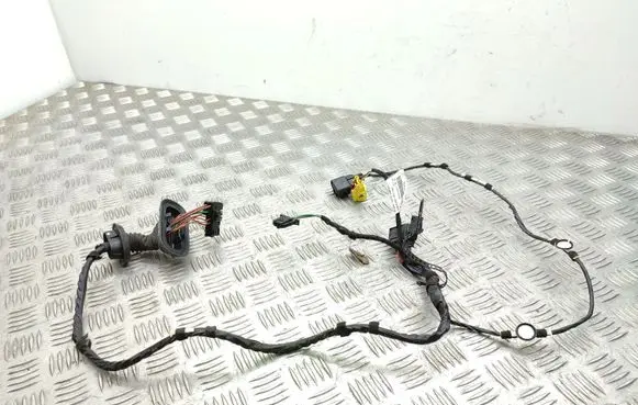 Front door wiring loom