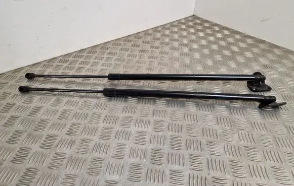 Tailgate/trunk strut/damper