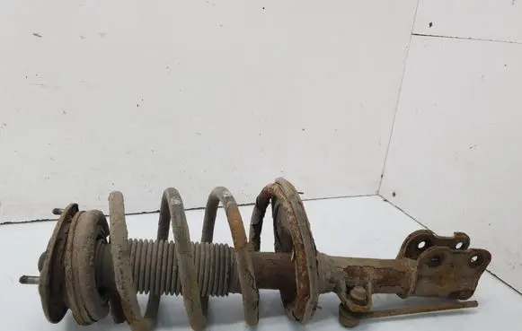 Hyundai ix 55 Front shock absorber with coil spring 