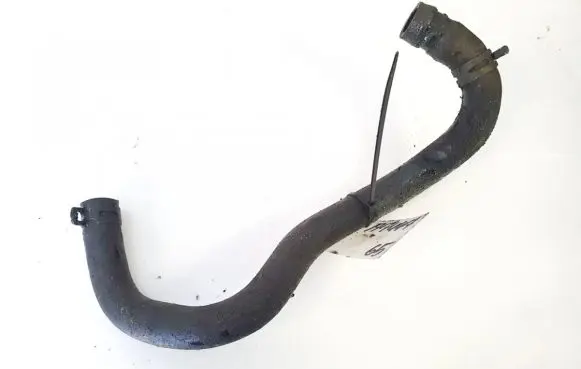 Ford Focus Engine coolant pipe/hose