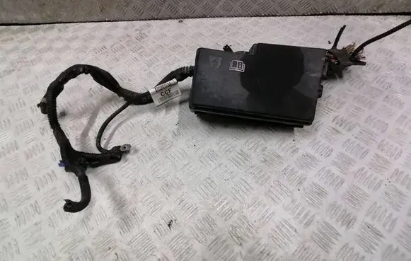 Fuse module