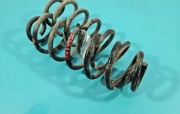 Rear coil spring
