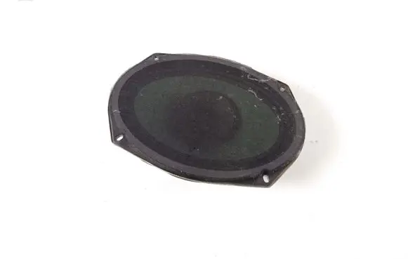 Rear door speaker