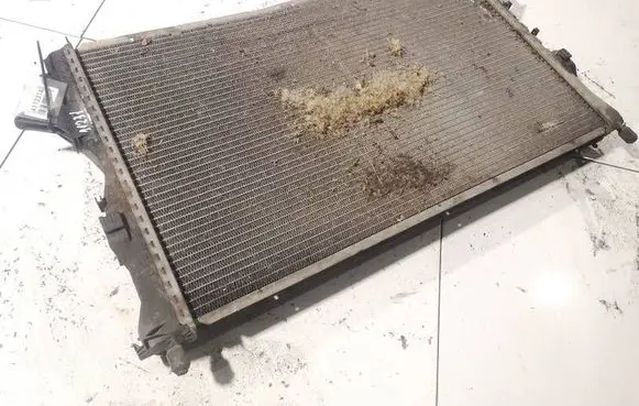Renault Espace - Grand espace IV Coolant radiator 