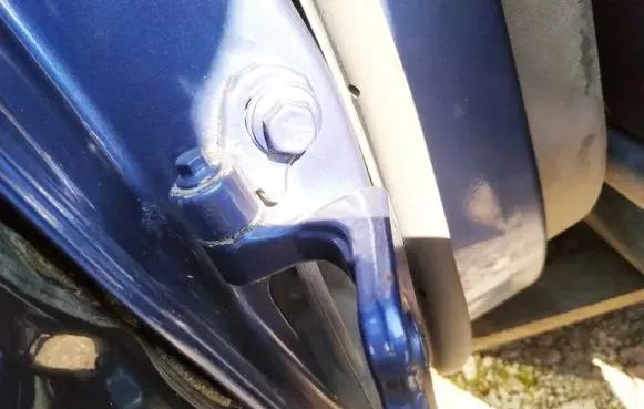 Rear door lower hinge