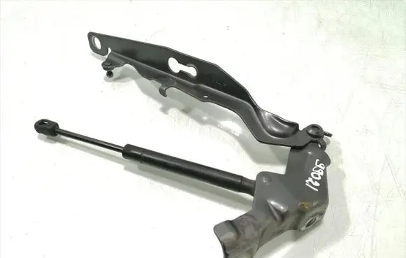 Engine bonnet/hood hinges
