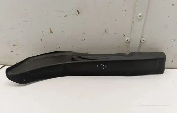 Rear/tail light trim molding