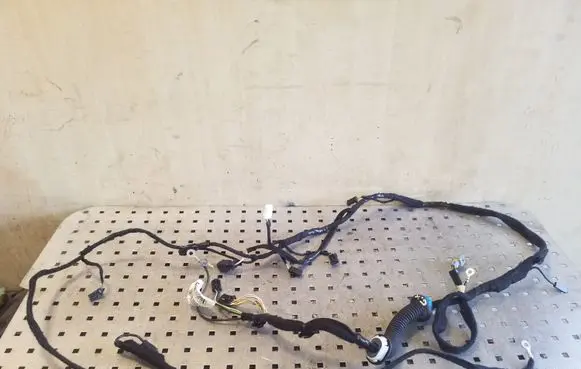 Rear door wiring loom