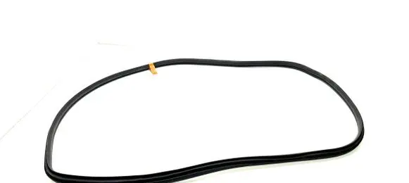 Hyundai Ioniq 5 Rear door rubber seal (on body) 83110GI000 50441