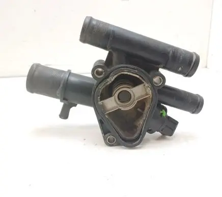 Thermostat/thermostat housing