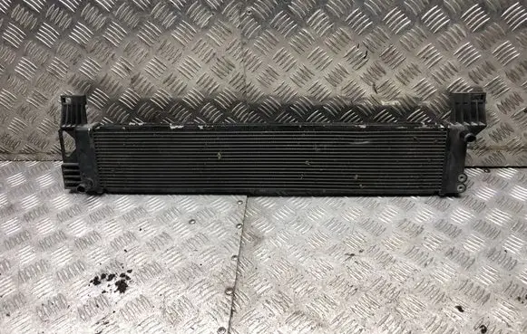 Lexus RX 450H Optional radiator 