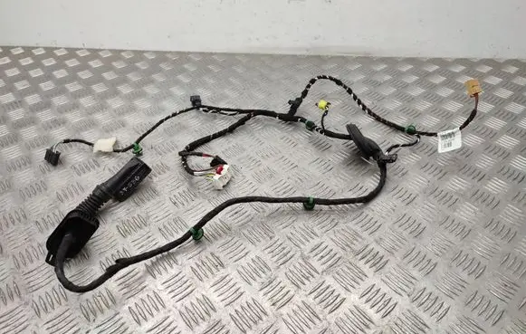 Volkswagen T-Roc Front door wiring loom 2GA971120AR