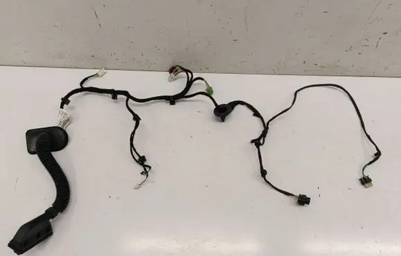 Mercedes-Benz EQE v295 Rear door wiring loom A2955403611