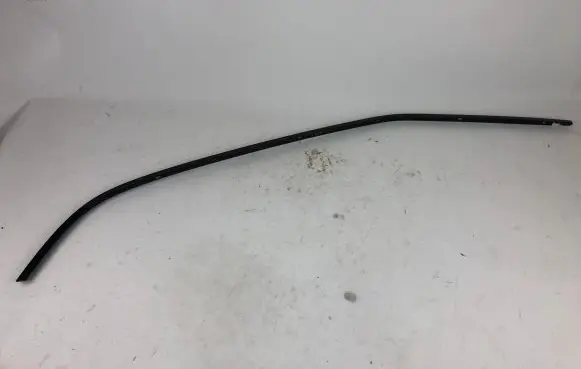 Toyota Mirai Rear door trim (molding)