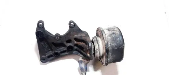 Volkswagen Transporter - Caravelle T4 Engine mount bracket 701199201B Nenustatyta