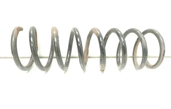 Rear coil spring