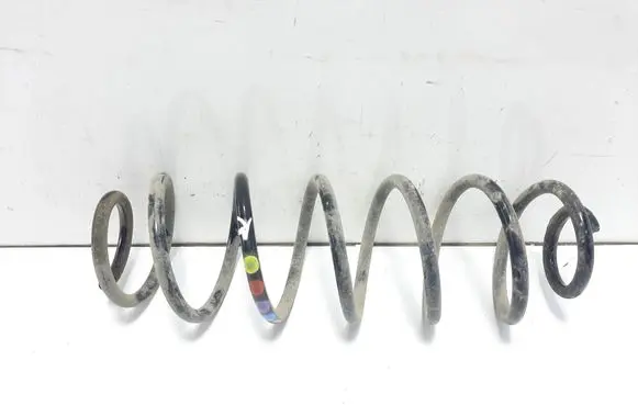 Rear coil spring