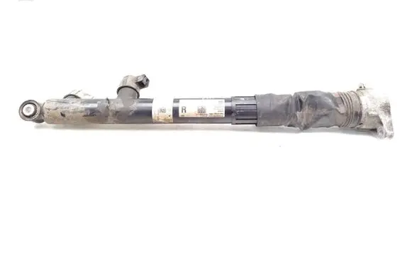 Porsche Taycan 9J1 Rear shock absorber/damper 9J1512012B 9J1513028D
