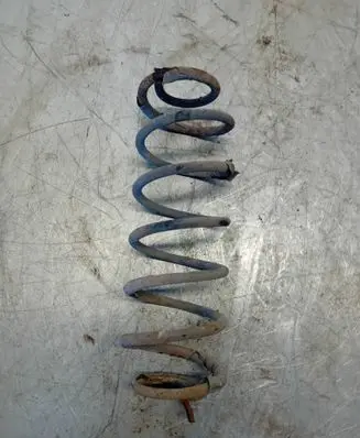 Rear coil spring