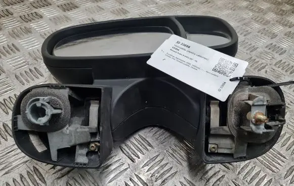 Renault Trafic II (X83) Front door electric wing mirror 010022