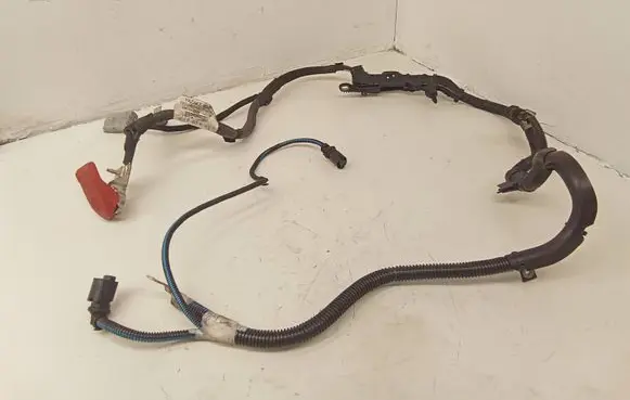 Citroen C4 II Picasso Positive cable (battery) 9816948380